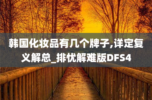 韩国化妆品有几个牌子,详定复义解总_排忧解难版DFS4