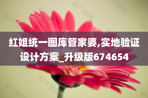 红姐统一图库管家婆,实地验证设计方案_升级版674654