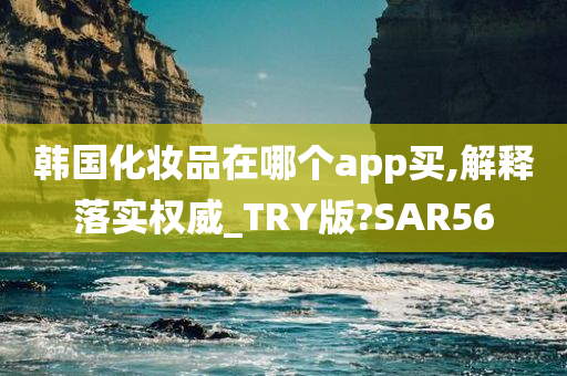 韩国化妆品在哪个app买,解释落实权威_TRY版?SAR56