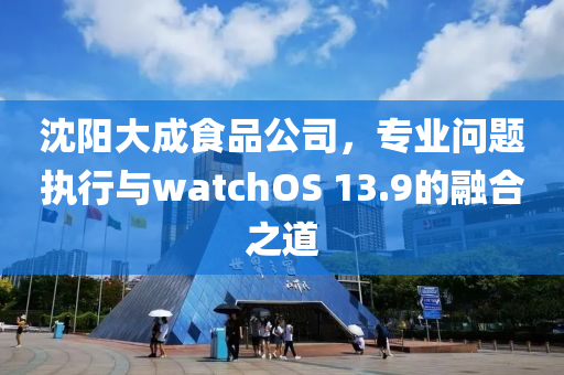 沈阳大成食品公司，专业问题执行与watchOS 13.9的融合之道