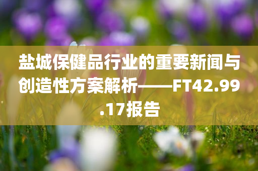 盐城保健品行业的重要新闻与创造性方案解析——FT42.99.17报告