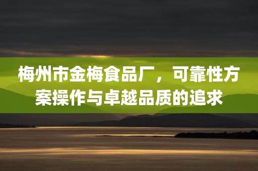 梅州市金梅食品厂，可靠性方案操作与卓越品质的追求