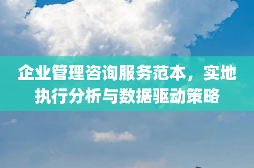 企业管理咨询服务范本，实地执行分析与数据驱动策略