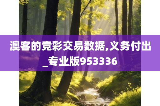 澳客的竞彩交易数据,义务付出_专业版953336