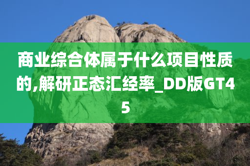 商业综合体属于什么项目性质的,解研正态汇经率_DD版GT45