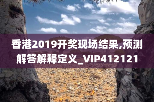 香港2019开奖现场结果,预测解答解释定义_VIP412121