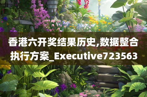 香港六开奖结果历史,数据整合执行方案_Executive723563