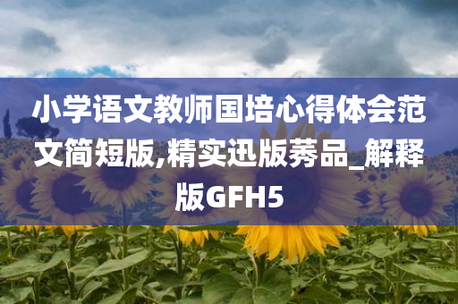 小学语文教师国培心得体会范文简短版,精实迅版莠品_解释版GFH5