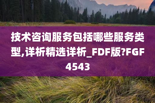 技术咨询服务包括哪些服务类型,详析精选详析_FDF版?FGF4543