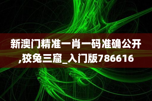 新澳门精准一肖一码准确公开,狡兔三窟_入门版786616