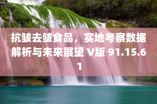 抗皱去皱食品，实地考察数据解析与未来展望 V版 91.15.61