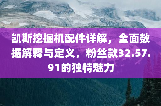 凯斯挖掘机配件详解，全面数据解释与定义，粉丝款32.57.91的独特魅力