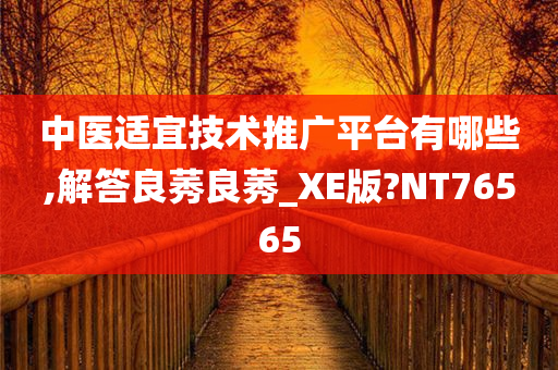 中医适宜技术推广平台有哪些,解答良莠良莠_XE版?NT76565