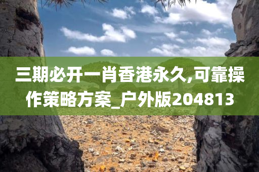 三期必开一肖香港永久,可靠操作策略方案_户外版204813