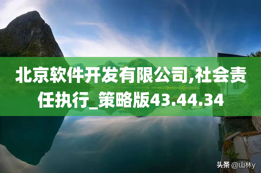 北京软件开发有限公司,社会责任执行_策略版43.44.34