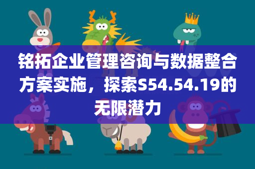 铭拓企业管理咨询与数据整合方案实施，探索S54.54.19的无限潜力