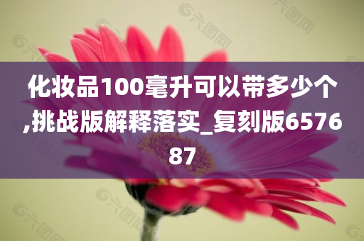 化妆品100毫升可以带多少个,挑战版解释落实_复刻版657687