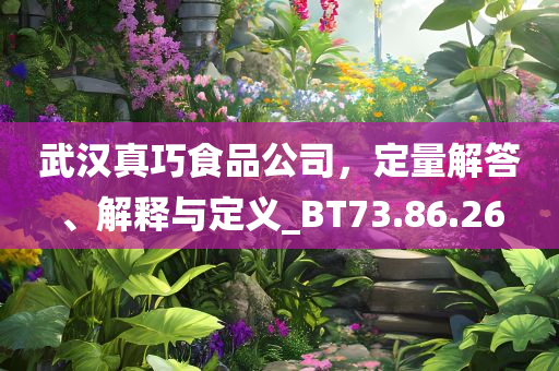 武汉真巧食品公司，定量解答、解释与定义_BT73.86.26