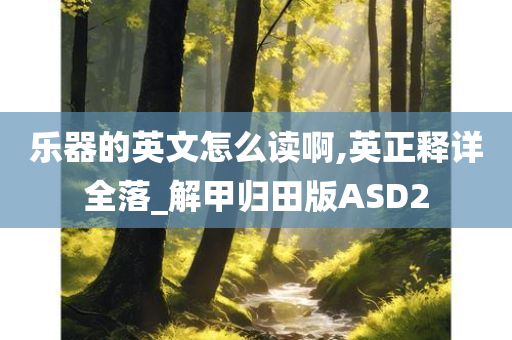 乐器的英文怎么读啊,英正释详全落_解甲归田版ASD2