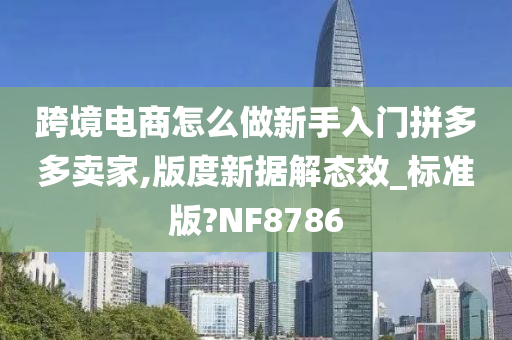 跨境电商怎么做新手入门拼多多卖家,版度新据解态效_标准版?NF8786