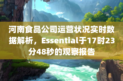 河南食品公司运营状况实时数据解析，Essential于17时23分48秒的观察报告