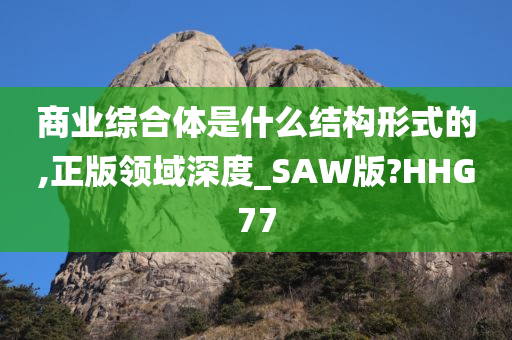 商业综合体是什么结构形式的,正版领域深度_SAW版?HHG77