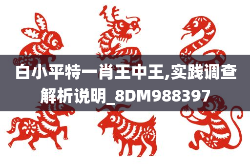 白小平特一肖王中王,实践调查解析说明_8DM988397