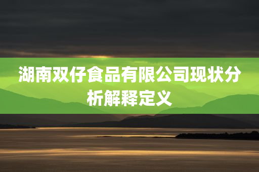 湖南双仔食品有限公司现状分析解释定义