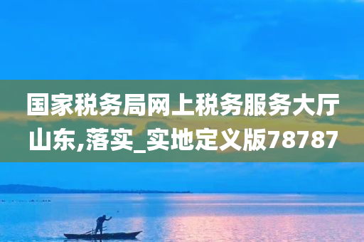 国家税务局网上税务服务大厅山东,落实_实地定义版78787