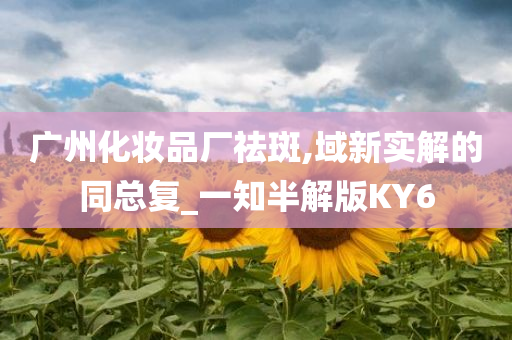 广州化妆品厂祛斑,域新实解的同总复_一知半解版KY6