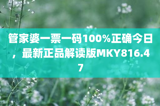 管家婆一票一码100%正确今日，最新正品解读版MKY816.47