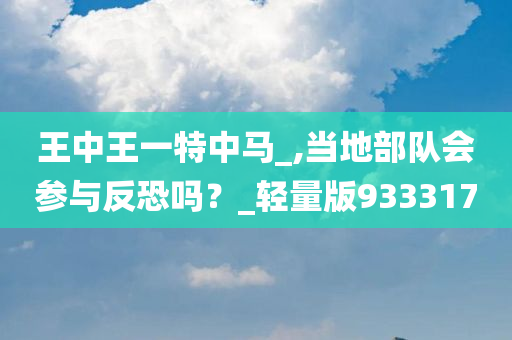 王中王一特中马_,当地部队会参与反恐吗？_轻量版933317