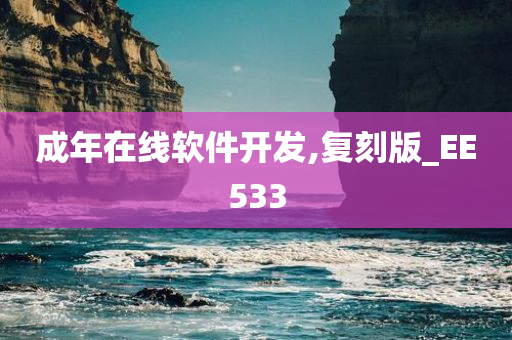 成年在线软件开发,复刻版_EE533