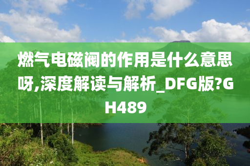 燃气电磁阀的作用是什么意思呀,深度解读与解析_DFG版?GH489