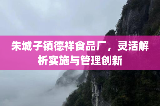 朱城子镇德祥食品厂，灵活解析实施与管理创新