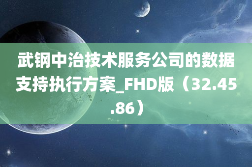 武钢中治技术服务公司的数据支持执行方案_FHD版（32.45.86）