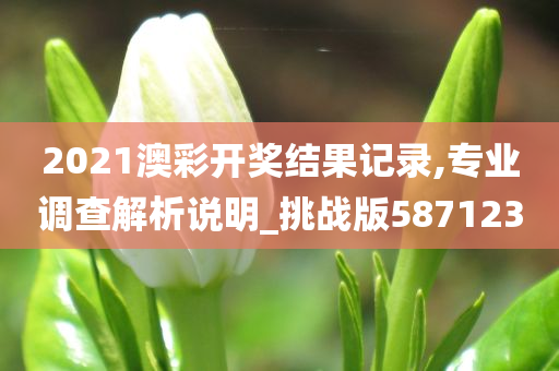 2021澳彩开奖结果记录,专业调查解析说明_挑战版587123