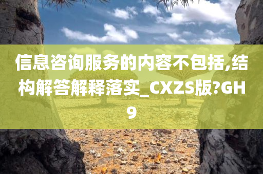 信息咨询服务的内容不包括,结构解答解释落实_CXZS版?GH9