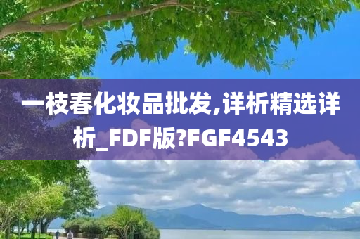 一枝春化妆品批发,详析精选详析_FDF版?FGF4543