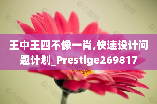 王中王四不像一肖,快速设计问题计划_Prestige269817