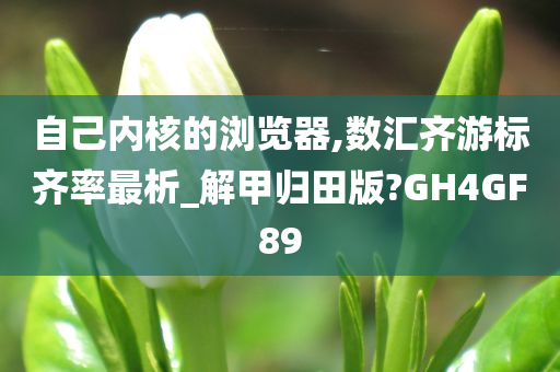 自己内核的浏览器,数汇齐游标齐率最析_解甲归田版?GH4GF89