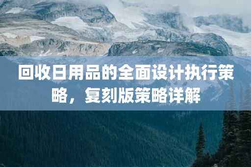 回收日用品的全面设计执行策略，复刻版策略详解