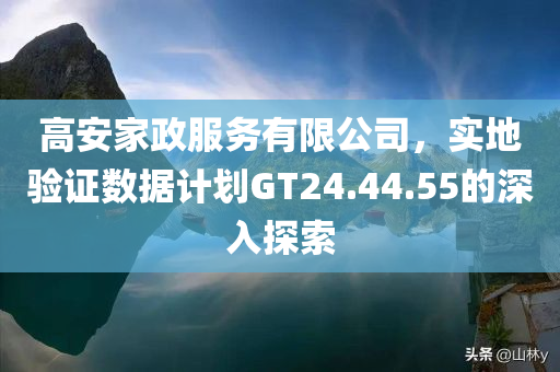 高安家政服务有限公司，实地验证数据计划GT24.44.55的深入探索