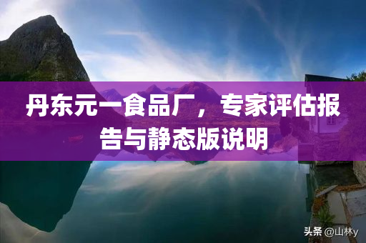 丹东元一食品厂，专家评估报告与静态版说明