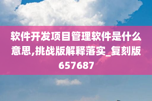 软件开发项目管理软件是什么意思,挑战版解释落实_复刻版657687