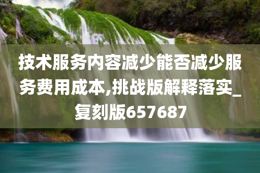 技术服务内容减少能否减少服务费用成本,挑战版解释落实_复刻版657687