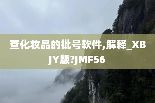 查化妆品的批号软件,解释_XBJY版?JMF56