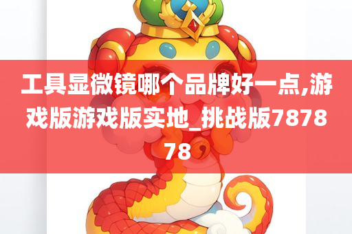 工具显微镜哪个品牌好一点,游戏版游戏版实地_挑战版787878