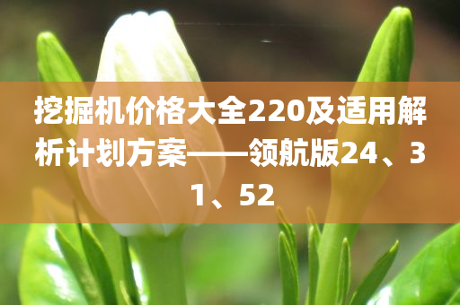 挖掘机价格大全220及适用解析计划方案——领航版24、31、52