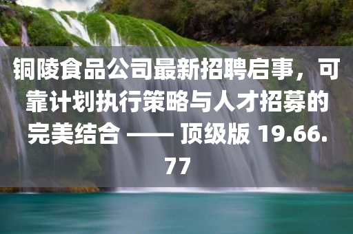 铜陵食品公司最新招聘启事，可靠计划执行策略与人才招募的完美结合 —— 顶级版 19.66.77